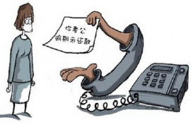 桃江债务清欠服务