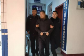 桃江债务清欠服务